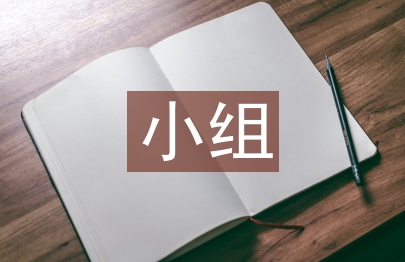 社会实践小组总结