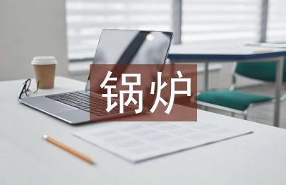 床锅炉炼糖滤泥混原煤掺烧技术