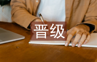 晋级报告