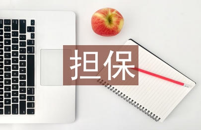 担保业务工作计划