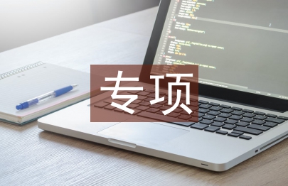 专项检查工作报告