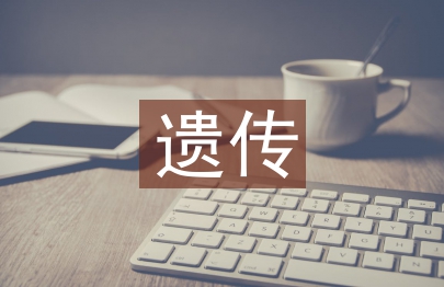非遗传承面临的问题如何解决