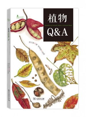 植物Q&A(自然观察丛书)图书