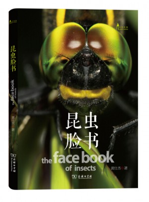 昆虫脸书
