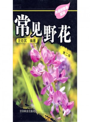 大自然珍藏系列-常见野花