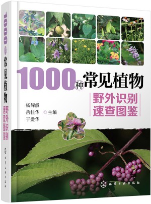 1000种常见植物野外识别速查图鉴图书