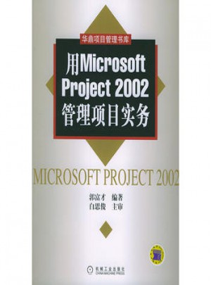用Microsoft Project 2002管理项目实务图书