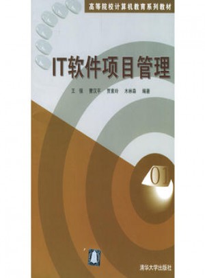 IT软件项目管理