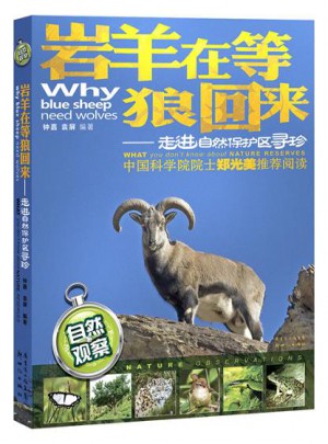 岩羊在等狼回来：走进自然保护区寻珍