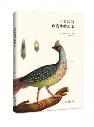 可装裱的印度博物艺术