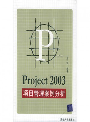 Project 2003：项目管理案例分析图书