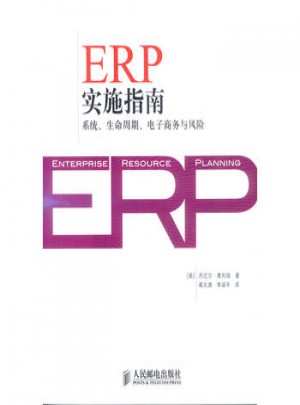 ERP实施指南：系统、生命周期、电子商务与风险