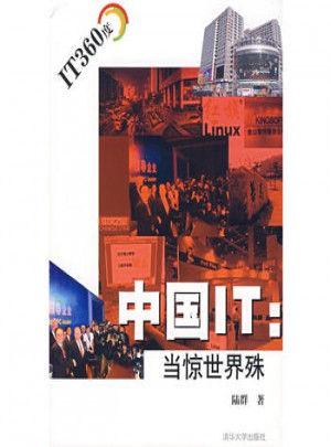 中国IT：当惊世界殊（IT360度）