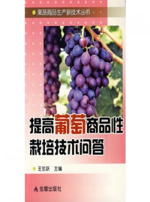 提高葡萄商品性栽培技术问答