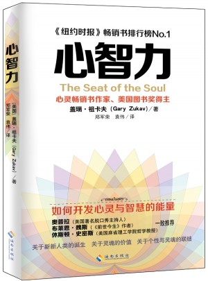 心智力图书