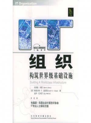 IT组织：构筑世界级基础设施