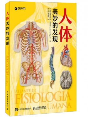 人体：美妙的发现