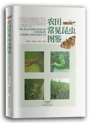 农田常见昆虫图鉴图书