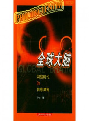 全球大脑：网络时代的信息漂流