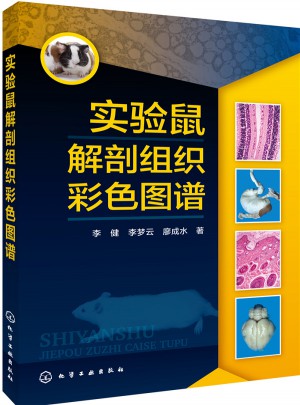 实验鼠解剖组织彩色图谱图书