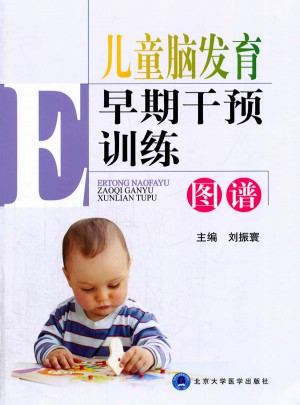 儿童脑发育早期干预训练图谱图书