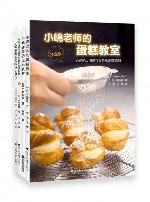 小嶋老师经典作品集（全4册）