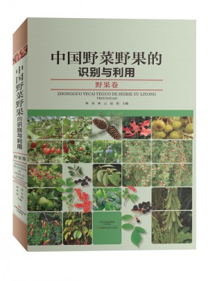 中国野菜野果的识别与利用：野果卷图书