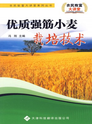 品质强筋小麦栽培技术