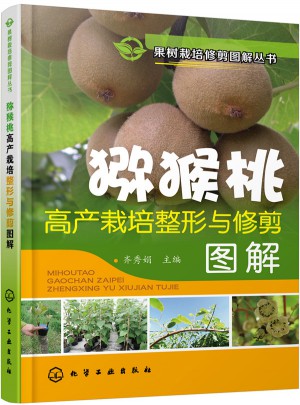 猕猴桃高产栽培整形与修剪图解