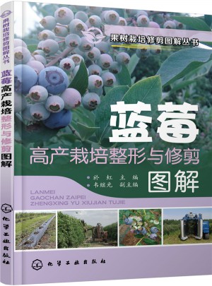 蓝莓高产栽培整形与修剪图解