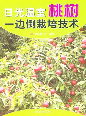 日光温室桃树一边倒栽培技术