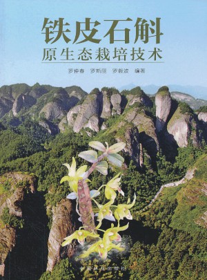 铁皮石斛原生态栽培技术