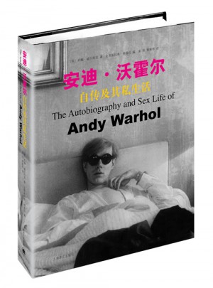 安迪·沃霍尔自传及其私生活图书