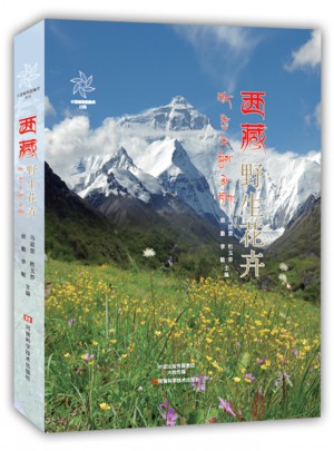 西藏：野生花卉