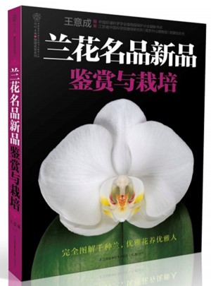 兰花名品新品：鉴赏与栽培
