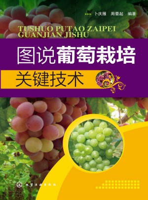 图说葡萄栽培关键技术