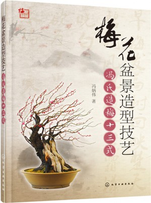 梅花盆景造型技艺:冯氏造梅十三式