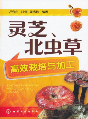 灵芝、北虫草高效栽培与加工