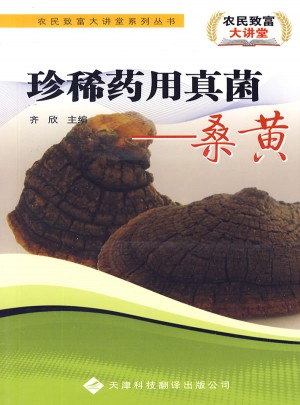 珍稀药用真菌：桑黄