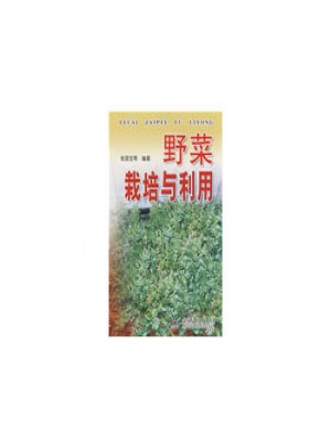 野菜栽培与利用