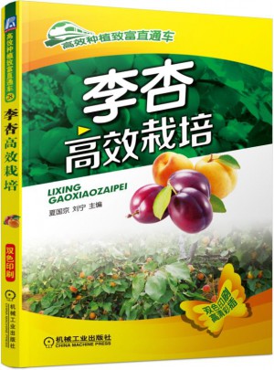 李杏高效栽培