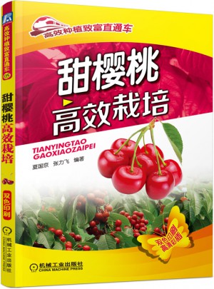 甜樱桃高效栽培