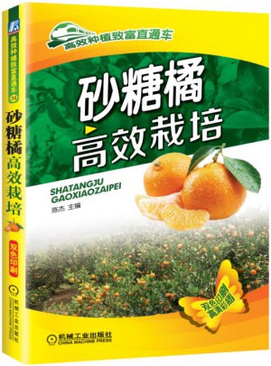 砂糖橘高效栽培