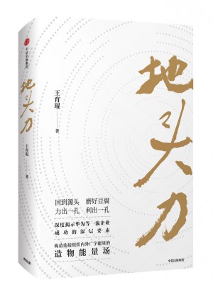 地头力：华为能量场