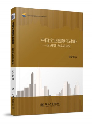中国企业国际化战略：理论探讨与实证研究
