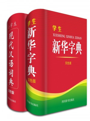 新华字典 现代汉语词典图书