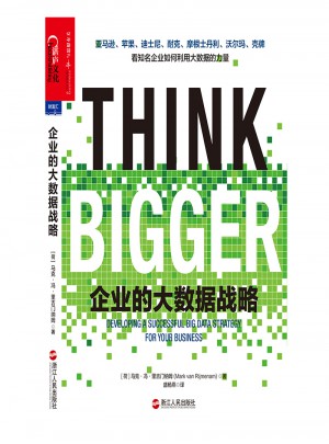 企业的大数据战略