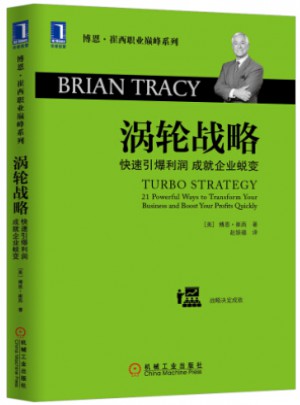 涡轮战略：快速引爆利润 成就企业蜕变