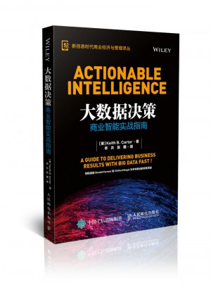 大数据决策 商业智能实战指南