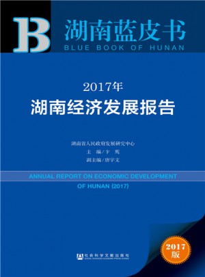 湖南蓝皮书：2017年湖南经济发展报告图书